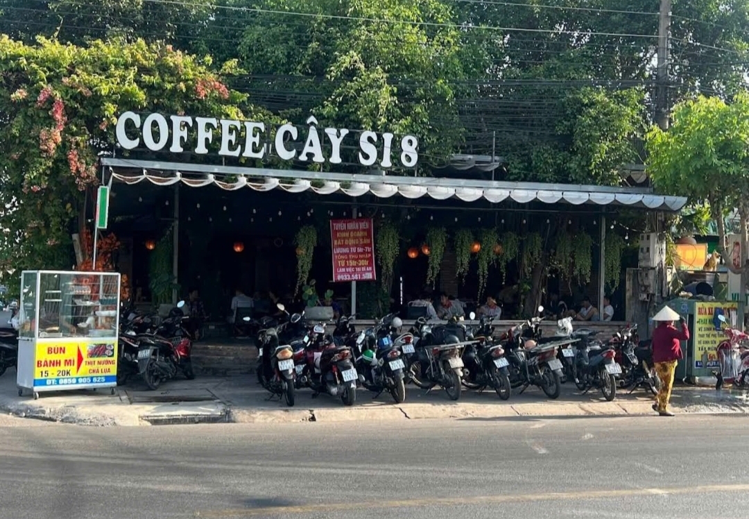 Quán cafe cây si 8