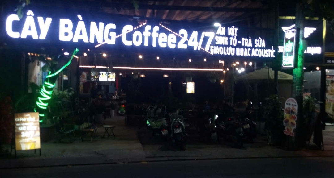 Cây bàng coffee